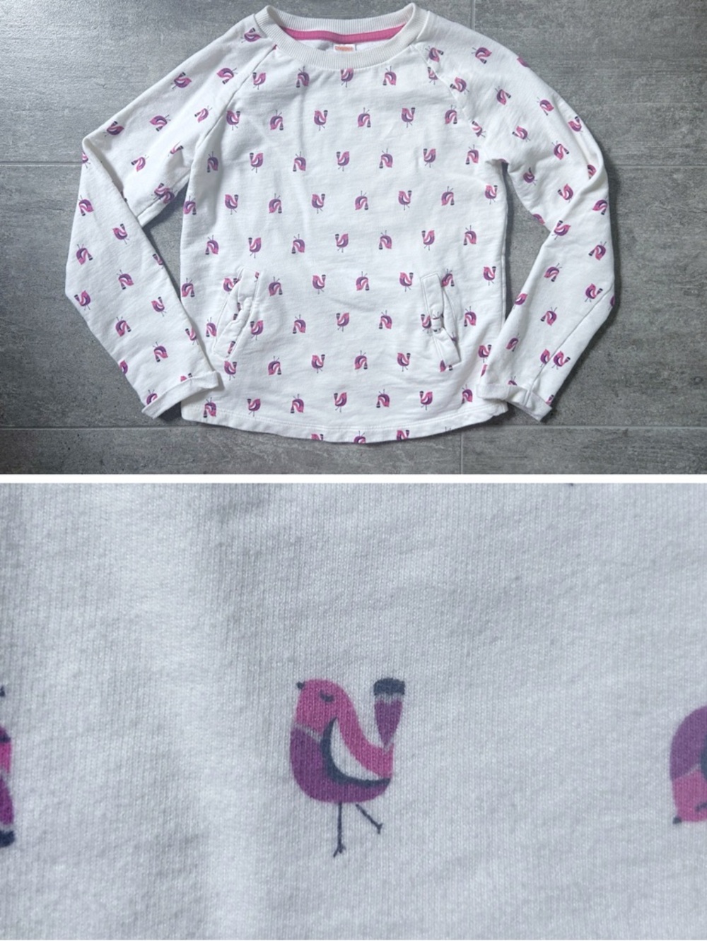 Gymboree Feathered Friends Pullover Size 10/12